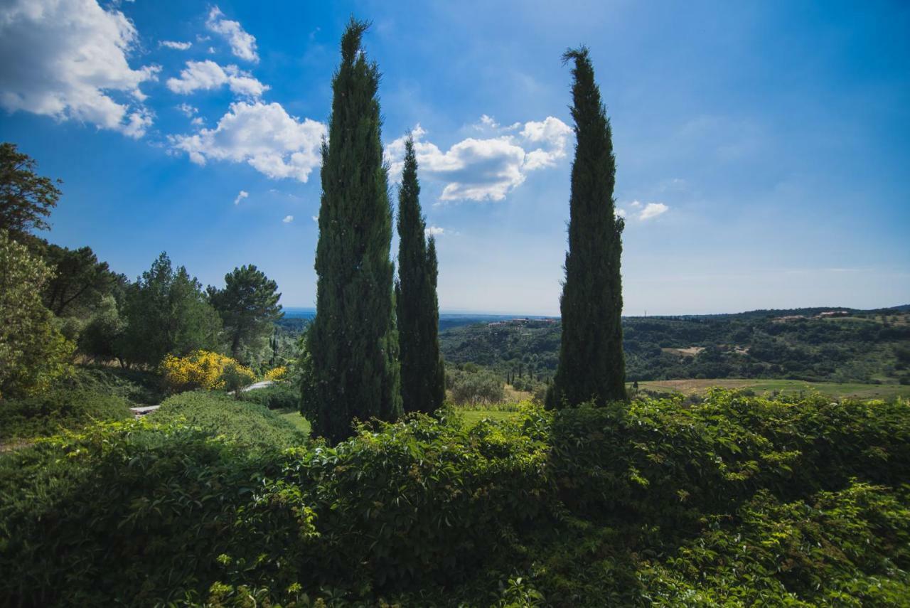 Villa Cava Alta Рипарбелла Экстерьер фото